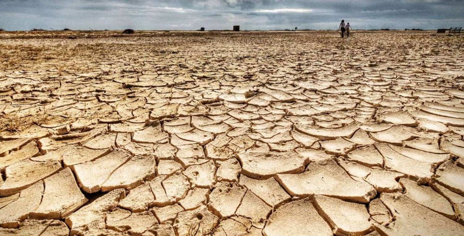 La mitad de la Argentina está afectada por la sequía