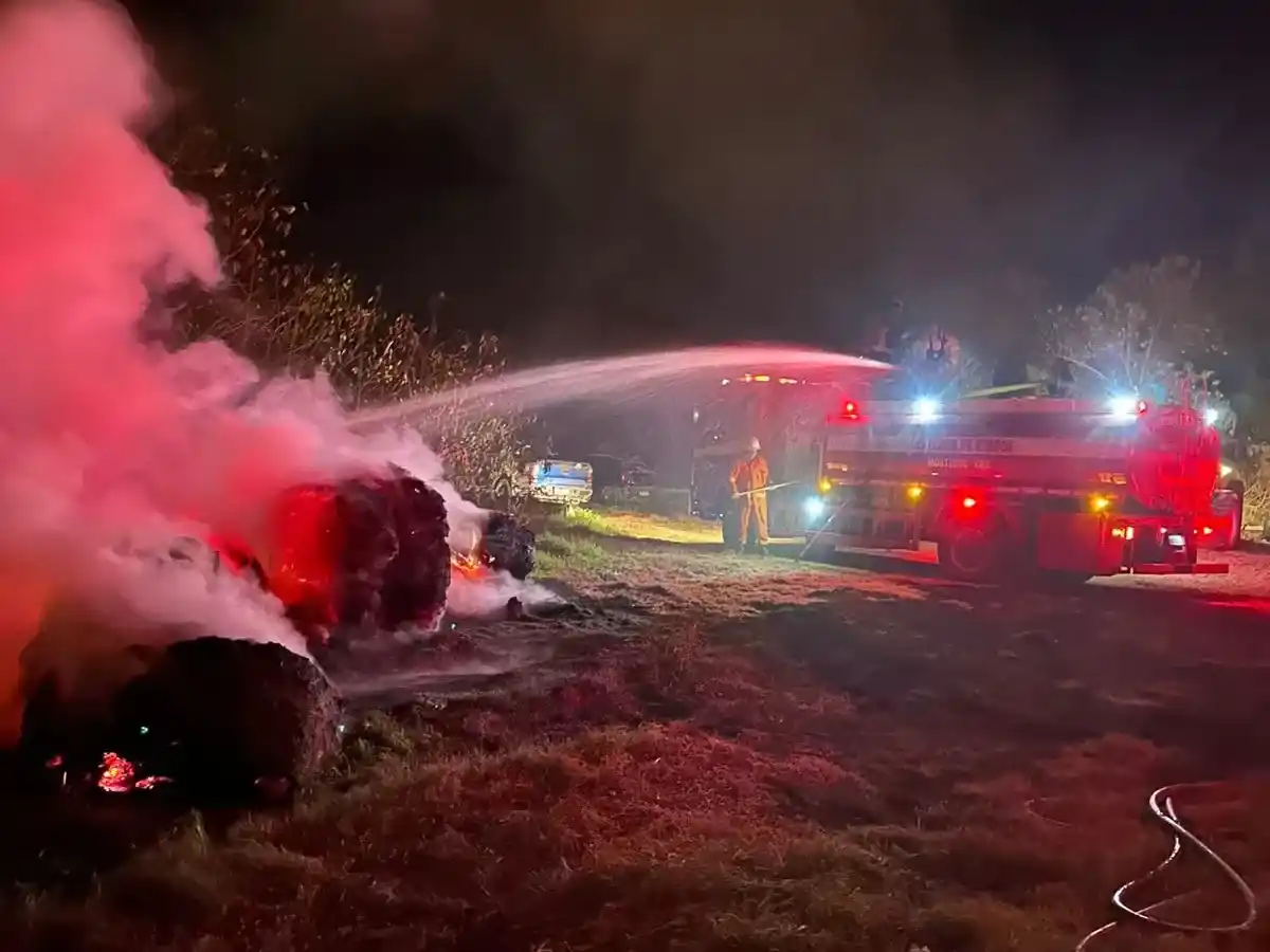 Bomberos controlaron el incendio de rollos en un predio de Morteros - 5