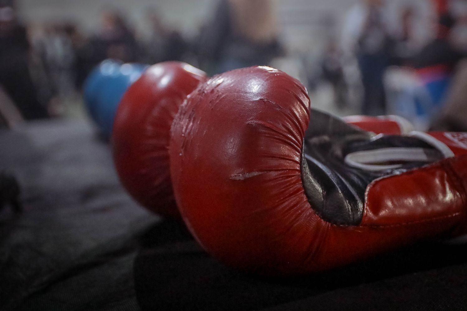 El boxeo amateur y profesional volverá a Mar del Plata el sábado.