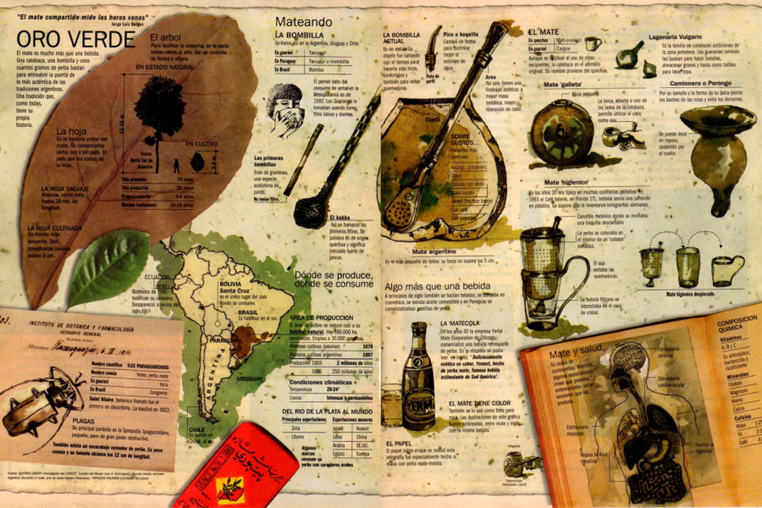 Día del mate: ¿costumbre o pasión?