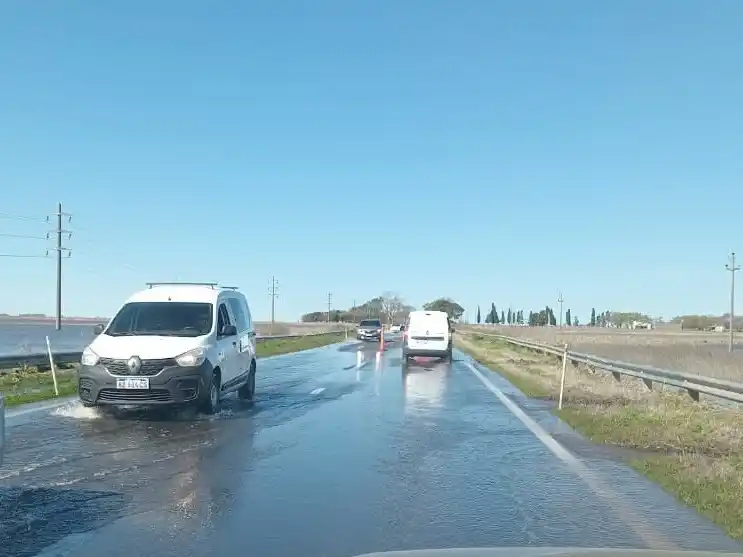 Así está actualmente el kilómetro 355 de la ruta 8.