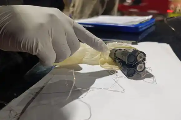 Por primera vez, usan una pistola Taser para reducir a una mujer que entorpeció una detención por violencia de género