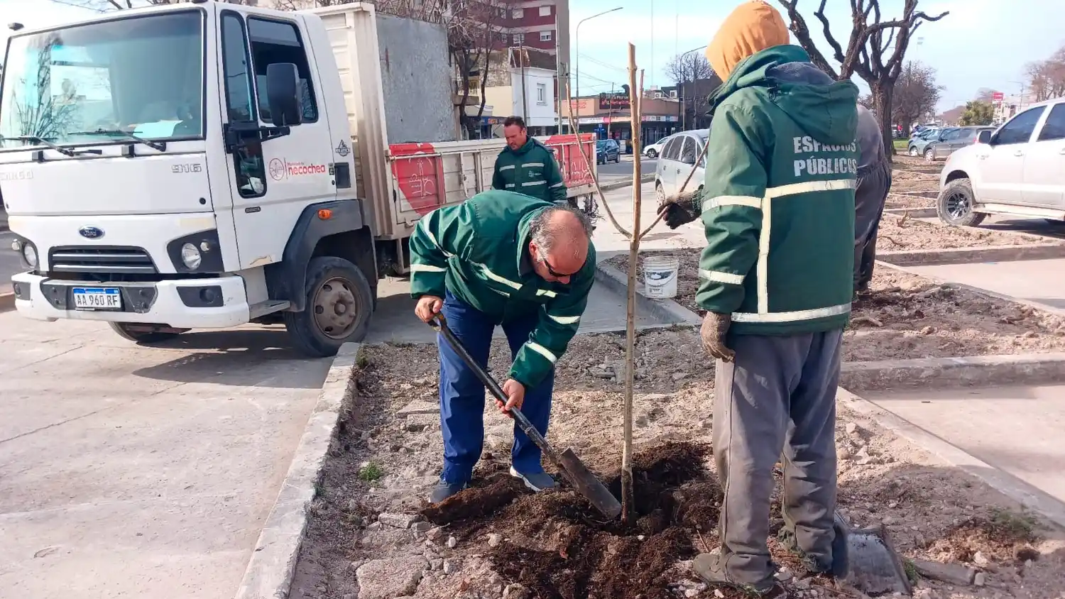 Se avanzó con la limpieza del área y el acondicionamiento del suelo
