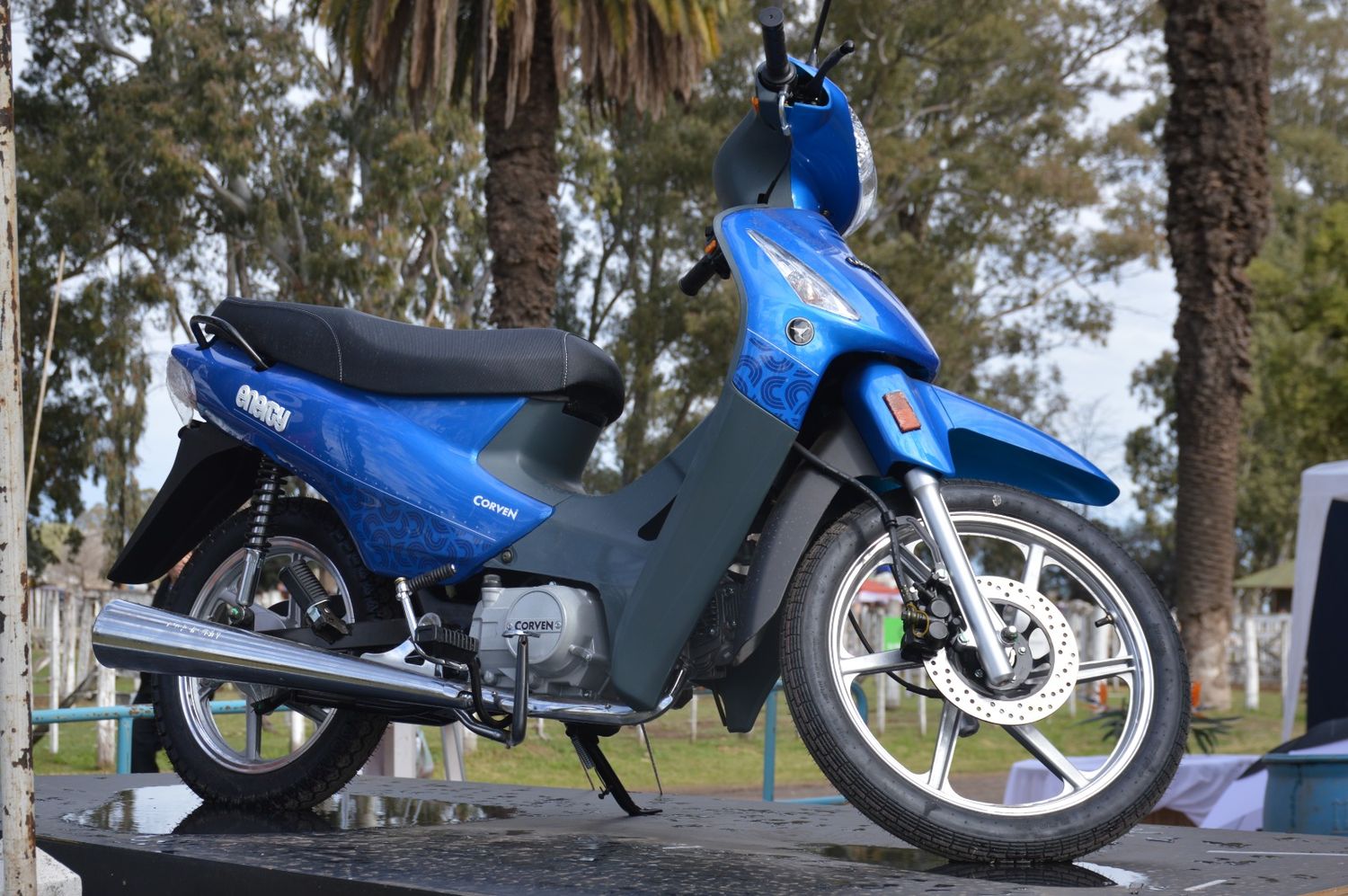 ExpoVenado moto