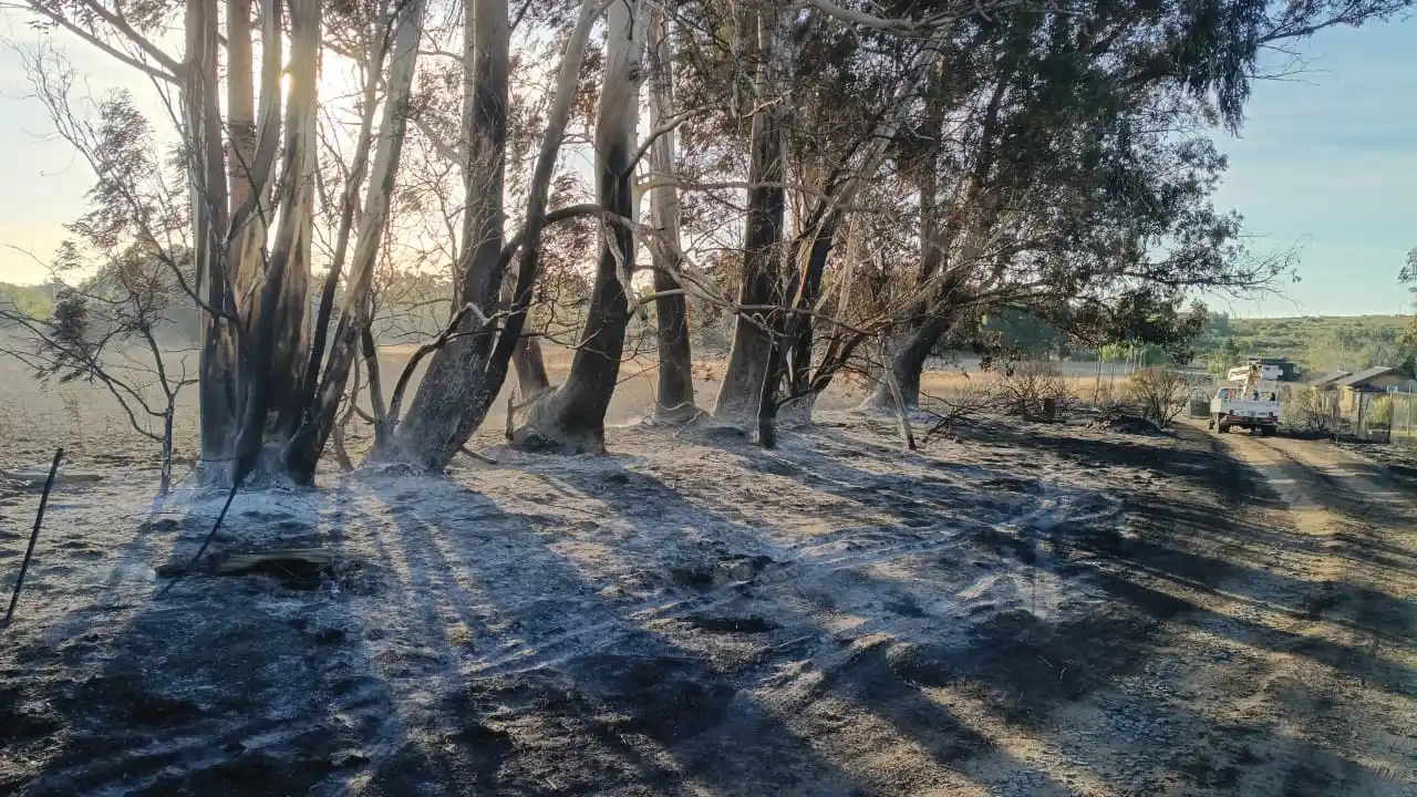 Un incendio afectó infraestructura eléctrica en la zona de Cabanna, Las Petuñas y Los Robles.