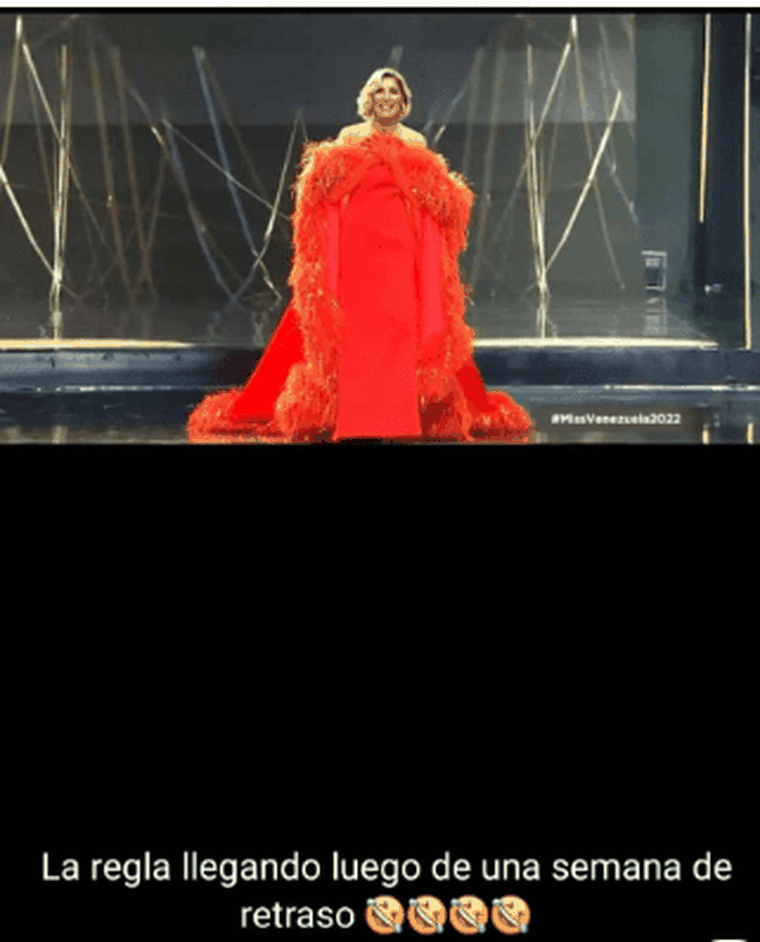 Maite Delgado no peló para un meme del Miss Venezuela. Foto Twitter
