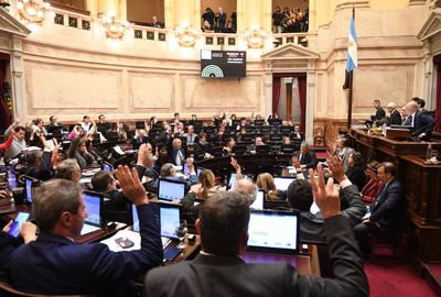 El Senado aprobó un proyecto que pone límites al Presidente en el uso de los DNU