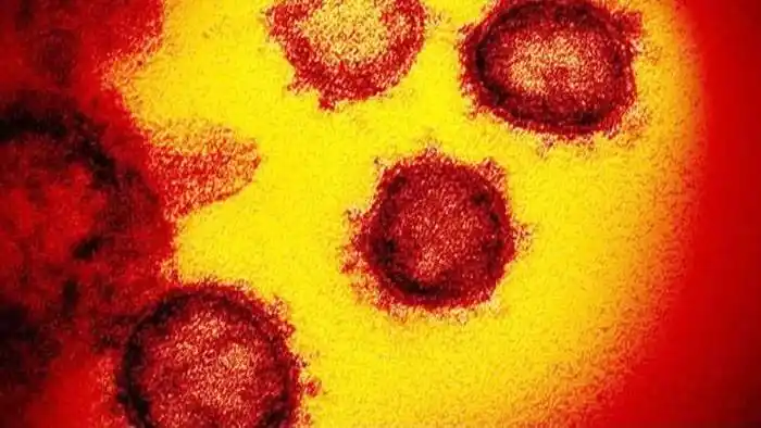 Presentan la primera imagen de �micron: Muchas más mutaciones que Delta