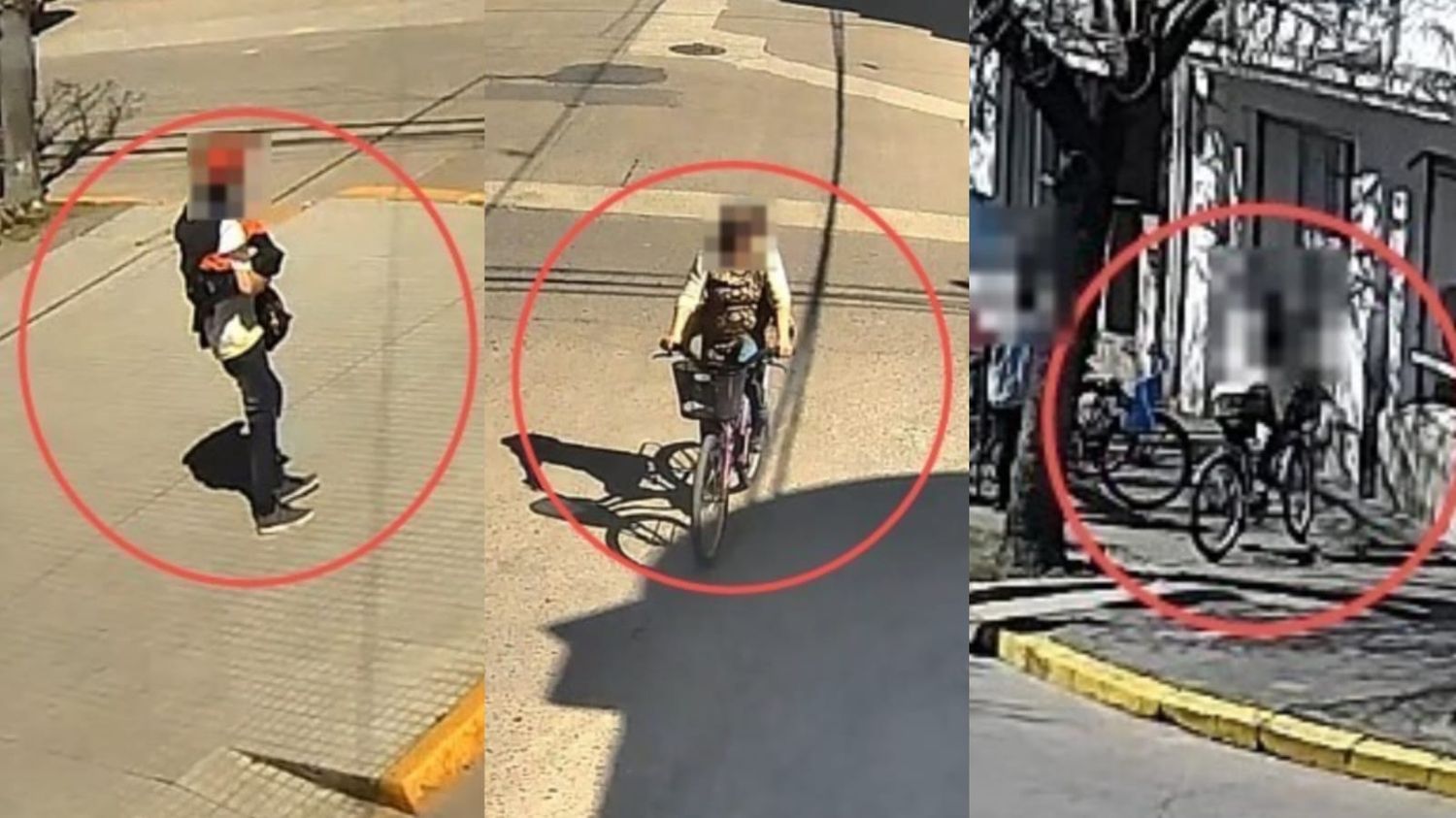 Bici robada Firmat