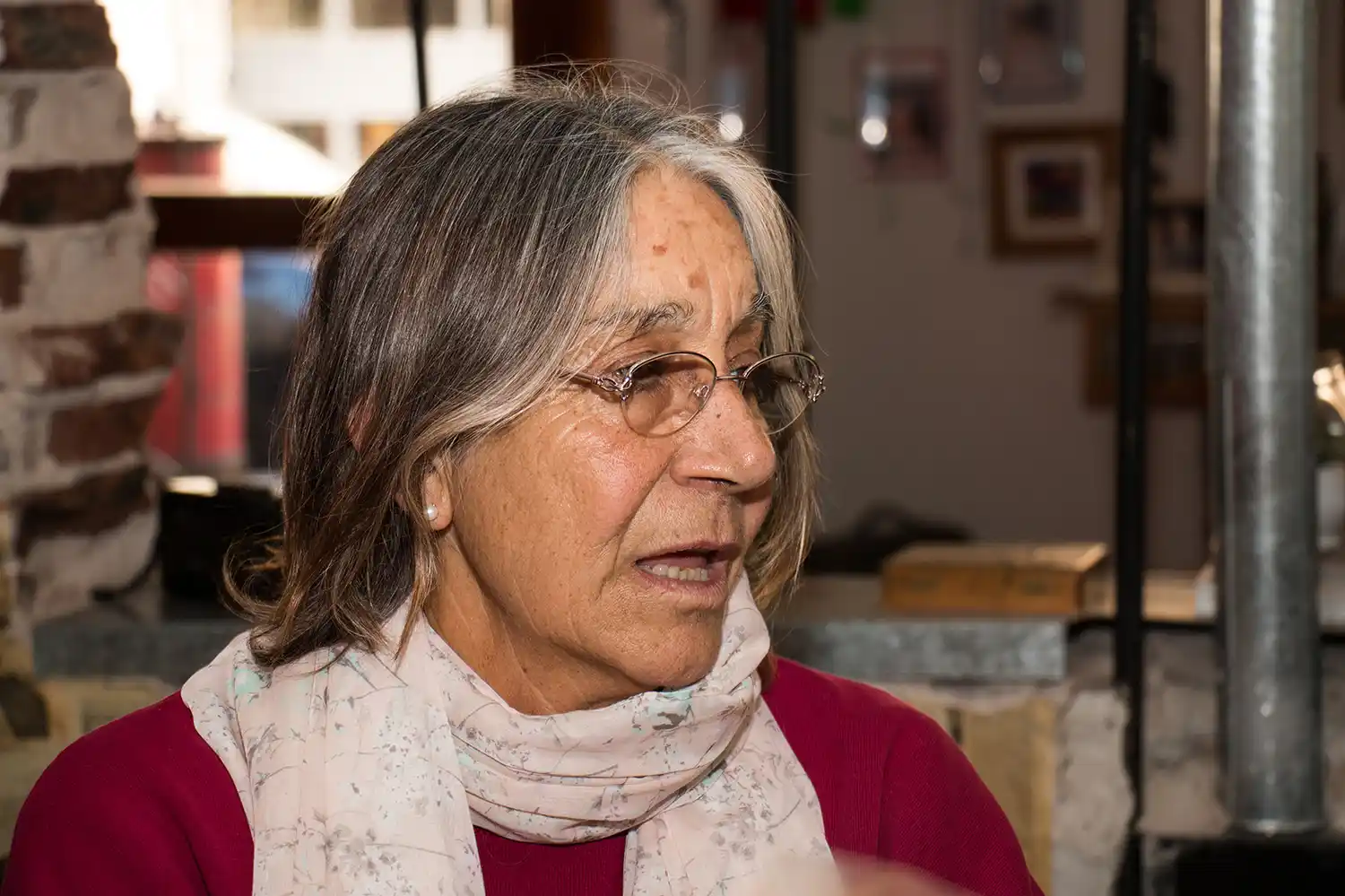 Biaggio, del FIT, defendió protesta mapuche y dijo que la actitud de Jorge Lanata es "deleznable"