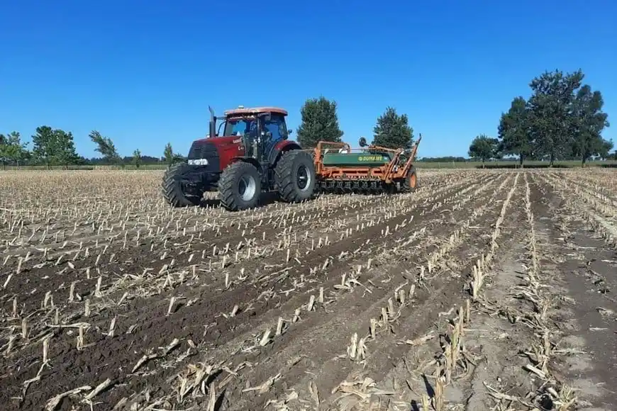 Record de exportaciones de soja en noviembre