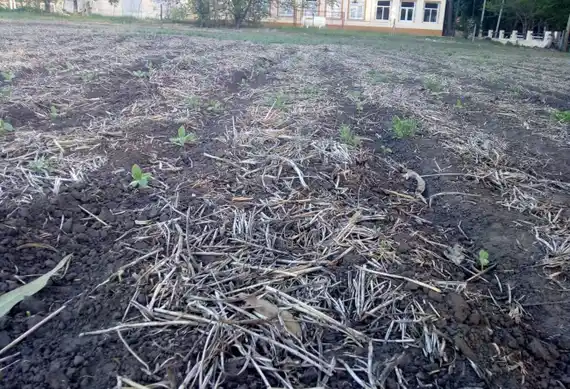 Vecinos de La Porteña manifestaron su enojo con el Municipio 