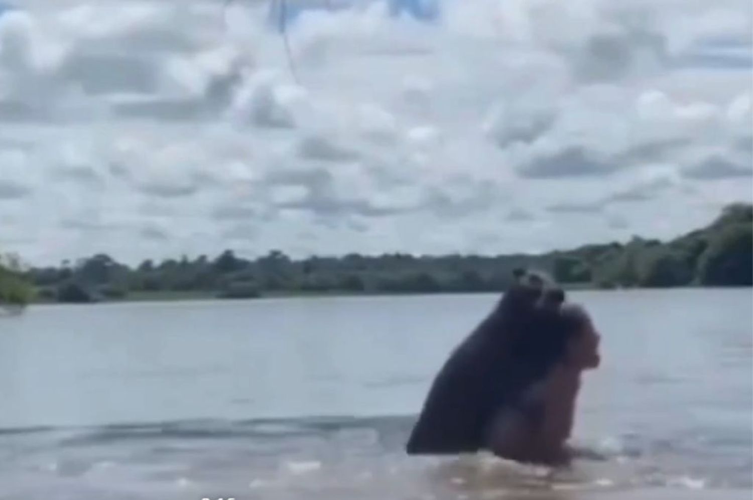 Sucedió en Ciénaga, al norte de Colombia.