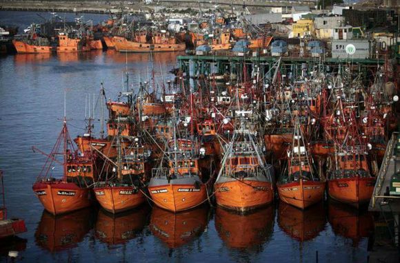 Retenciones a la Pesca: "Nos vamos a fundir trabajando"