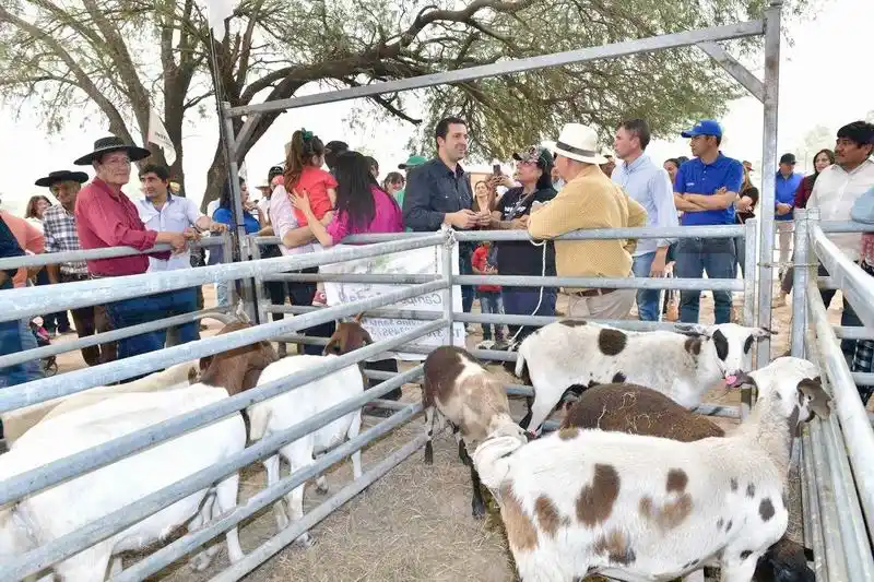 Exitosa segunda Expo-Feria de Ganado 
Menor y Hortícola en Pozo del Tigre