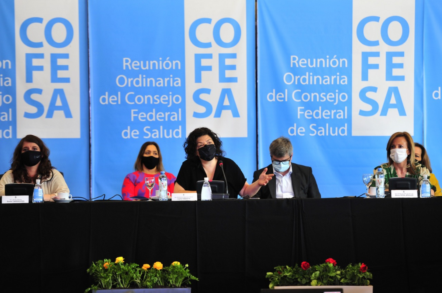 Carla Vizzotti encabeza la segunda jornada del Consejo Federal de Salud