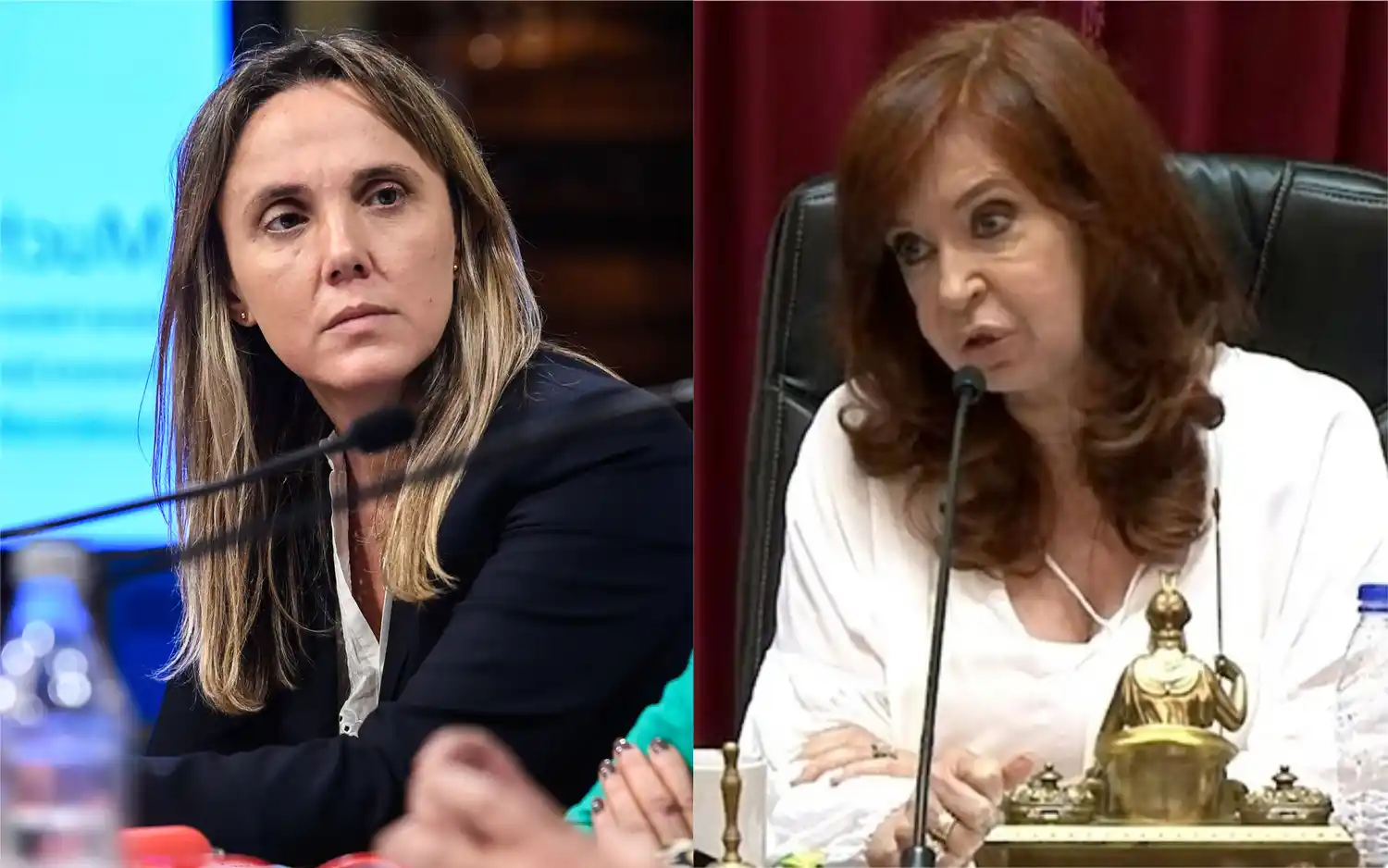 Gladys González denuncia "censura" de Cristina Kirchner en el Senado: "El kirchnerismo volvió peor que nunca", asegura