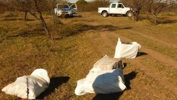 Entre Ríos: una avioneta arrojó 400 kilos de marihuana en un campo