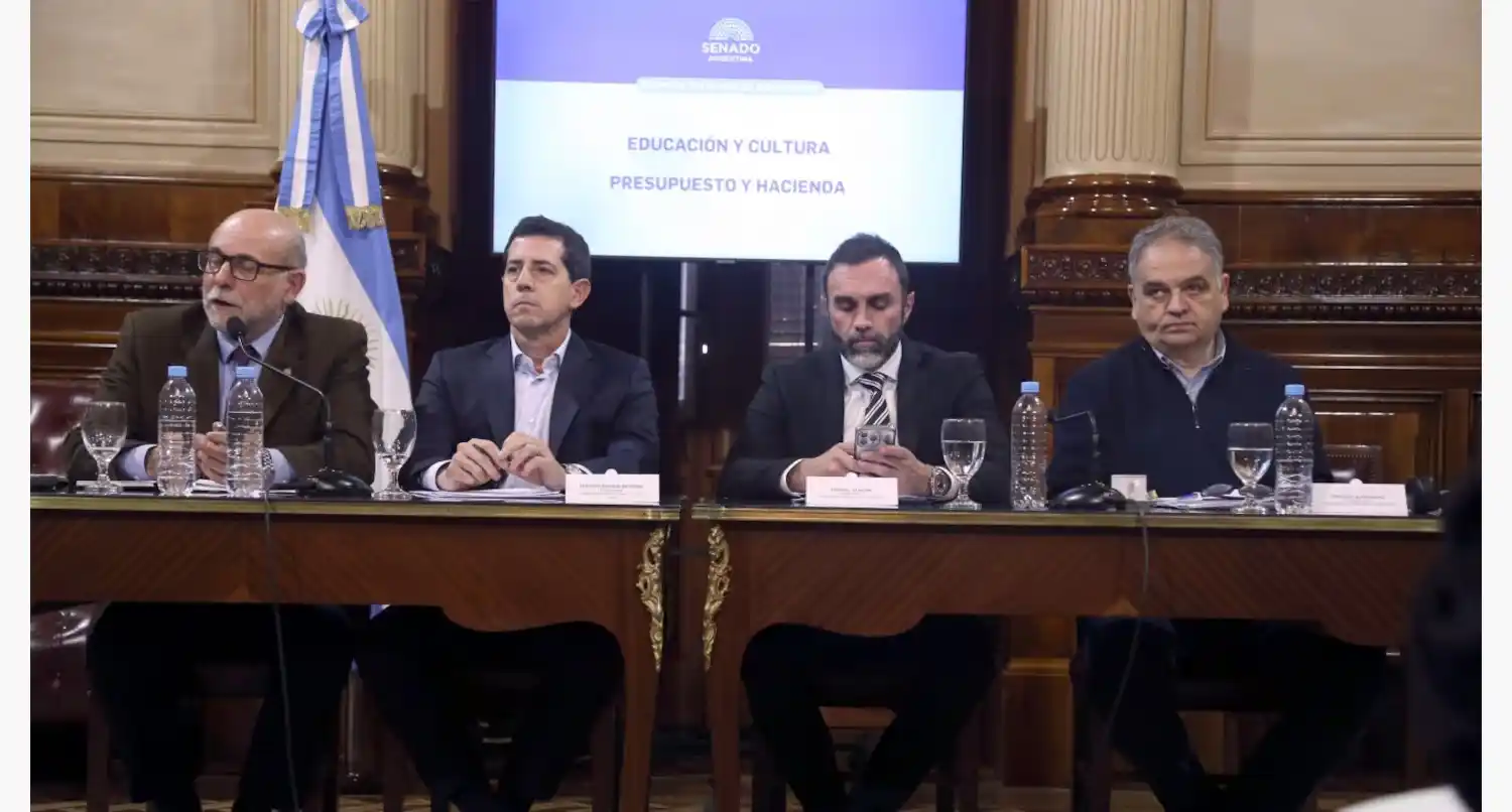 Milei dijo que si se aprueba, vetará la ley.