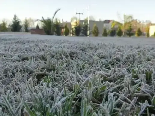 Gualeguaychú tendrá una mañana con temperaturas cercanas a cero