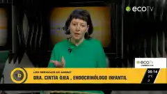 Los servicios de AMEMT