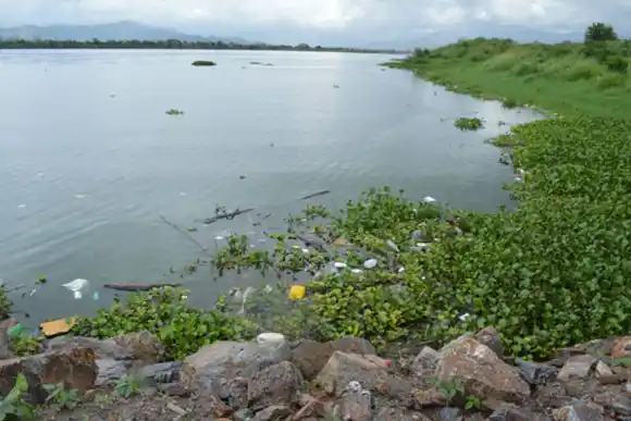URGENTE: AN alerta sobre la contaminación del Lago de Valencia