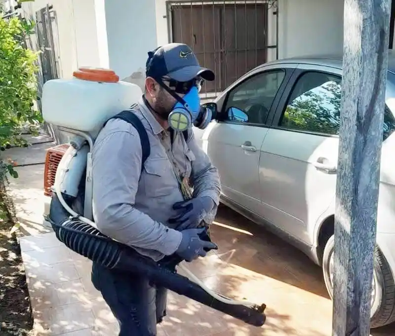 Dengue: “La única forma de ganarle a esta 
enfermedad es haciendo desaparecer los criaderos”