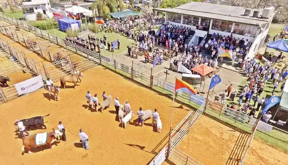 La Rural Concordia a pleno en su 127ª Exposición