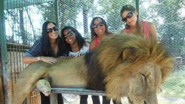Todos contra el Zoo de Luján: Concejales, Defensoría y Proteccionistas piden cierre o reconversión del establecimiento
