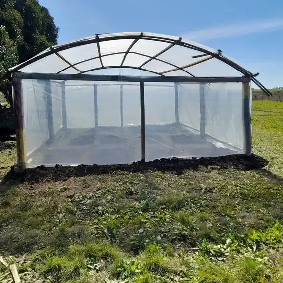 La Escuela N.º 5 "José González Grey" impulsa un proyecto de huerta orgánica con fines pedagógicos y comunitarios