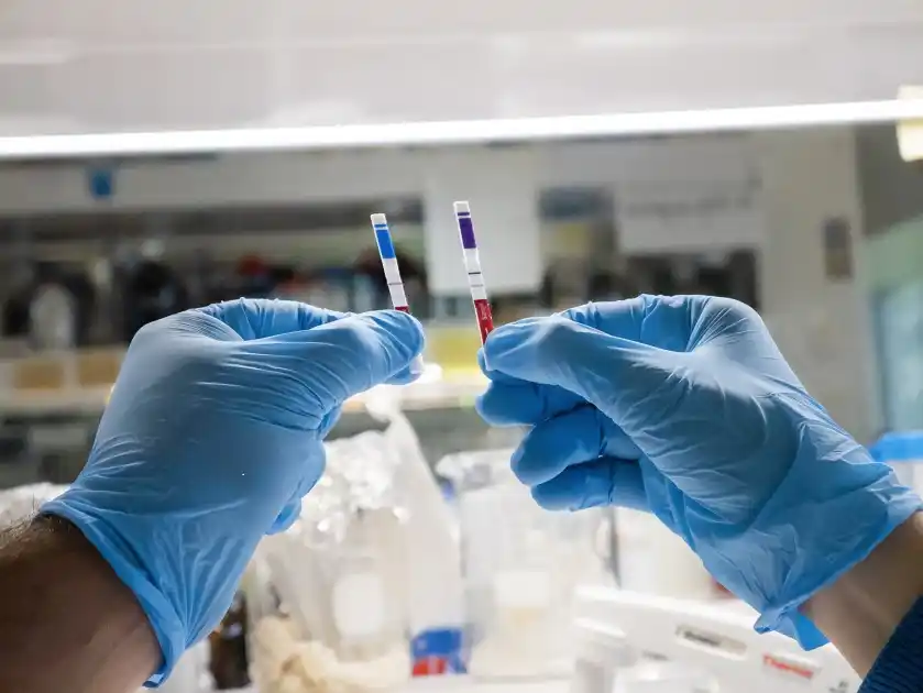 Coronavirus: enviaron 77 muestras y son 89, en total, las pendientes de análisis
