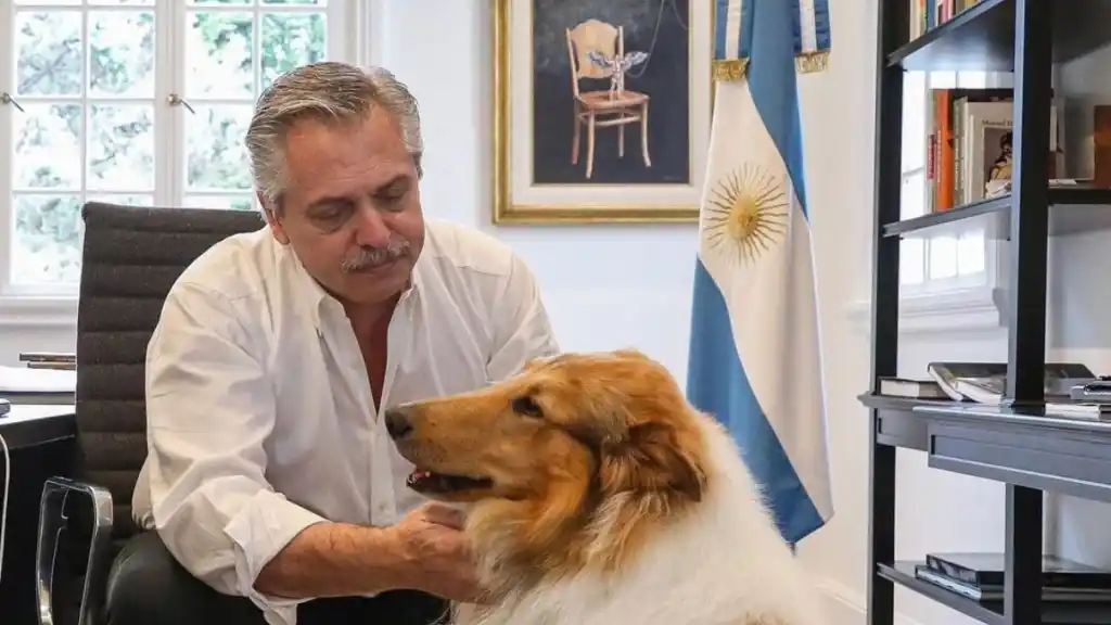 Murió Dylan, el perro de Alberto Fernández