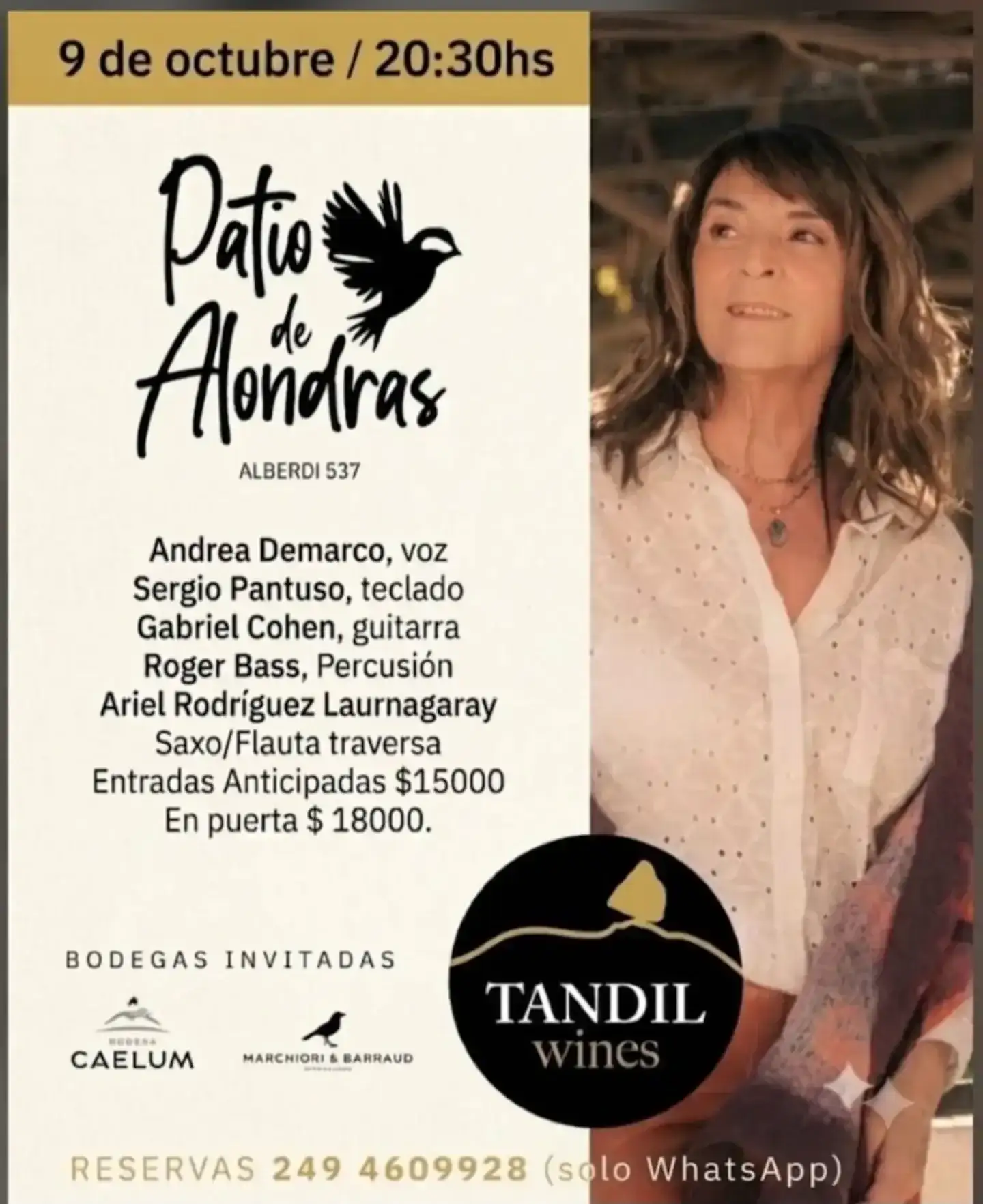 Show de Andrea Demarco y banda