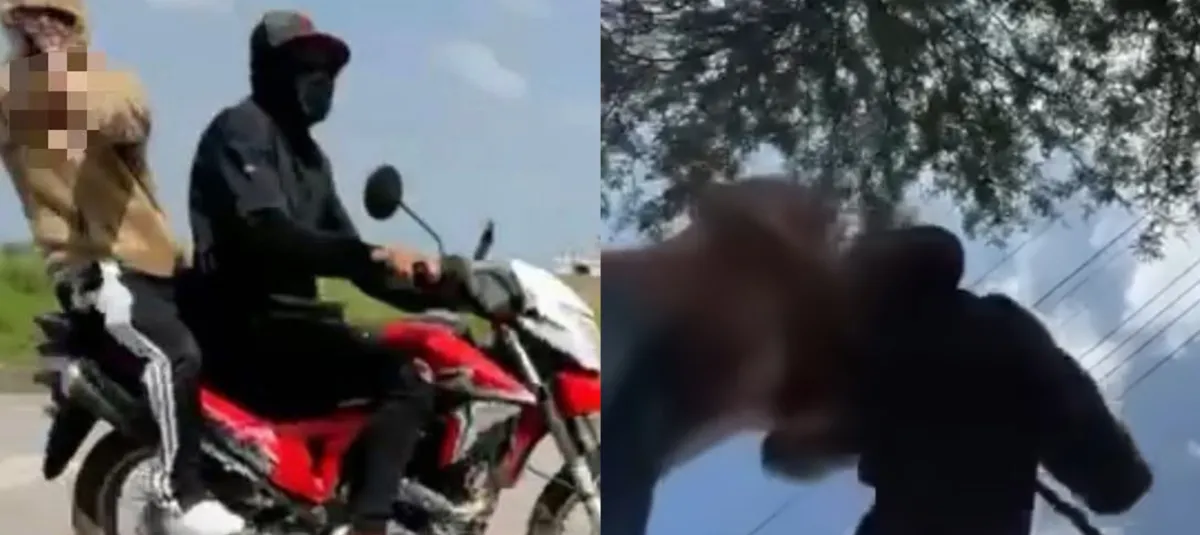 Disparos en vivo
