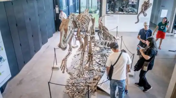 Con foco en la participación de los más jóvenes, se celebrará en la ciudad el Día Internacional de los Museos