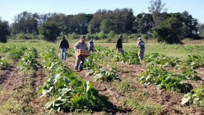 Se realizó una jornada de prácticas en campo
en la Universidad Provincial de Laguna Blanca
