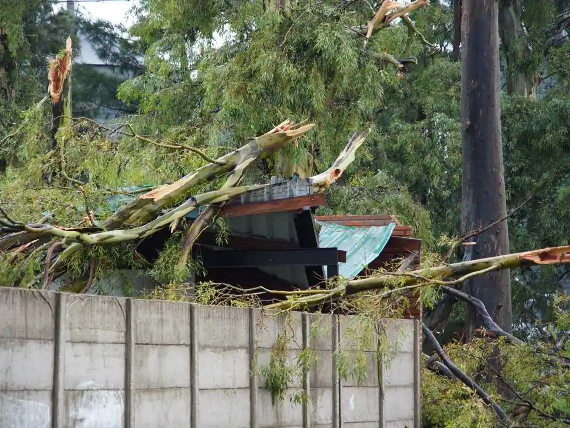 Fuerte tormenta en Bombal dejó serios destrozos - 3
