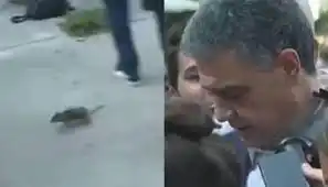 Curioso incidente en Retiro