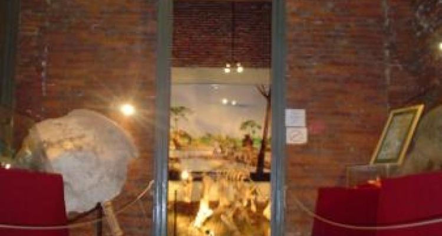 El museo paleontológico en la televisión
