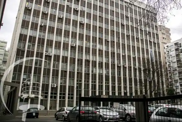 Denuncian que hay excremento de ratas en la cocina de Tribunales