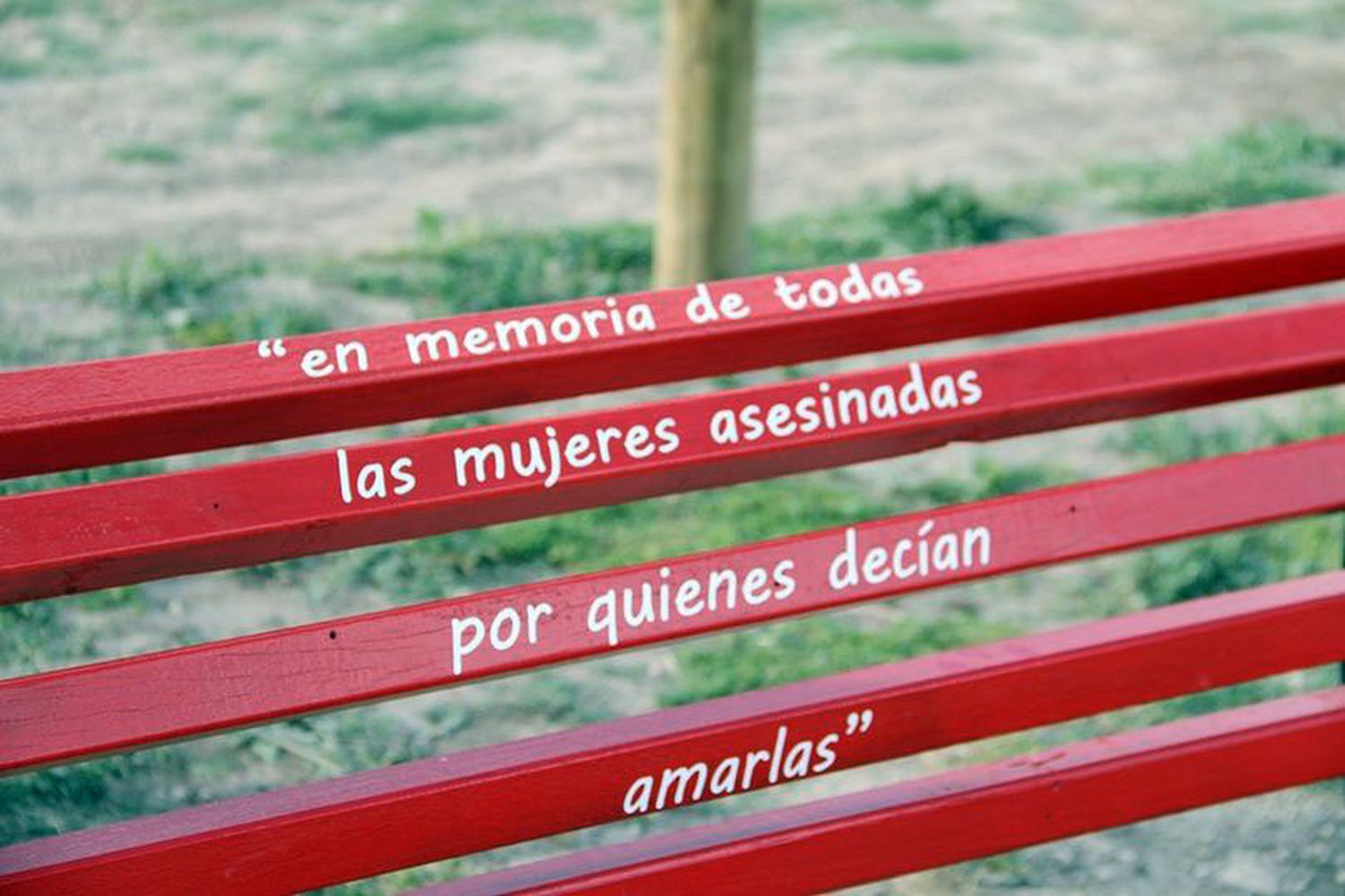 Día de la erradicación de la violencia contra la mujer