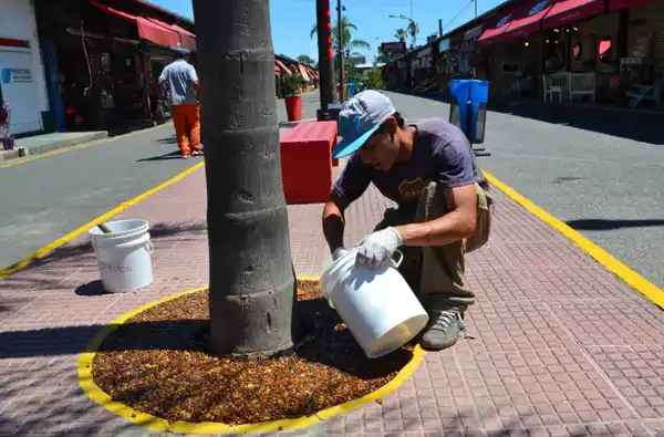 Tigre: Refacciones integrales en el Puerto de Frutos