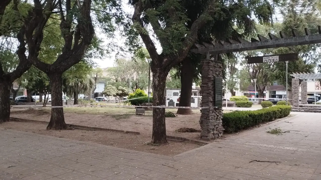 Señalizaron “zona peligrosa” por las piñas en plaza Belgrano
