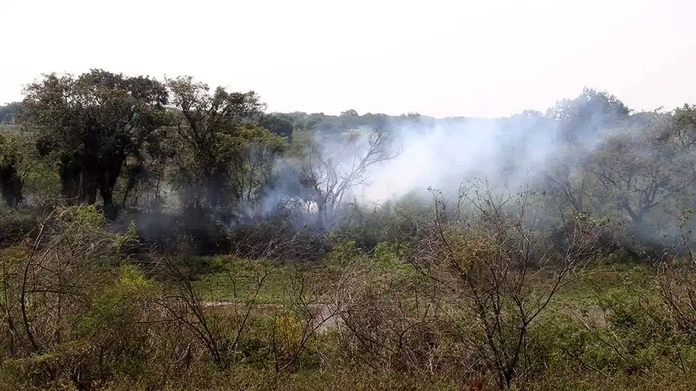 Las lluvias trajeron alivio y el fuego en el Delta entró en una etapa "controlada"