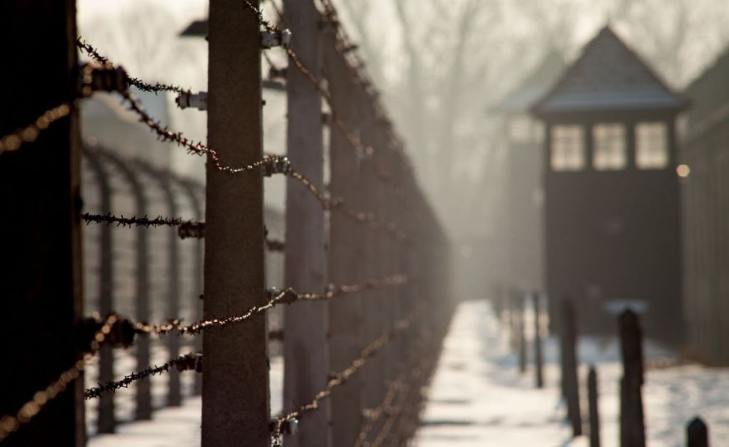 Día Internacional en Memoria de las Víctimas del Holocausto