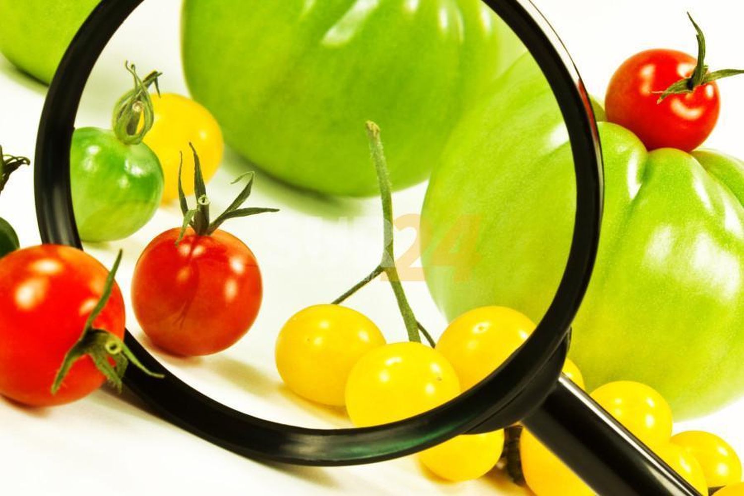 Por concurso, la Municipalidad refuerza la Dirección de Seguridad Alimentaria