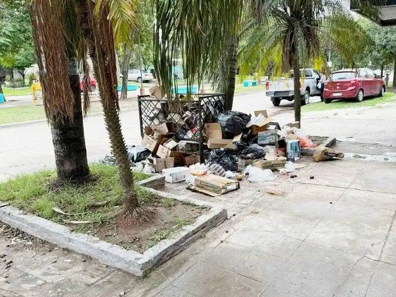Basura cero: La comuna endurece los controles 
contra el arrojo de residuos en la vía pública