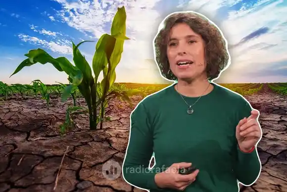 Seguimos esperando las lluvias: ¿cuándo incidirá El Niño en la región?