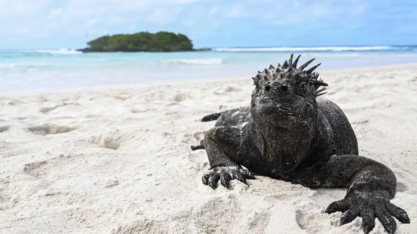 isla paradisíaca de Ecuador - 3