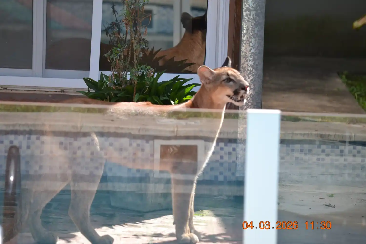 Crédito: Juan Martín Mastropaolo